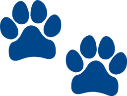Picture of paws